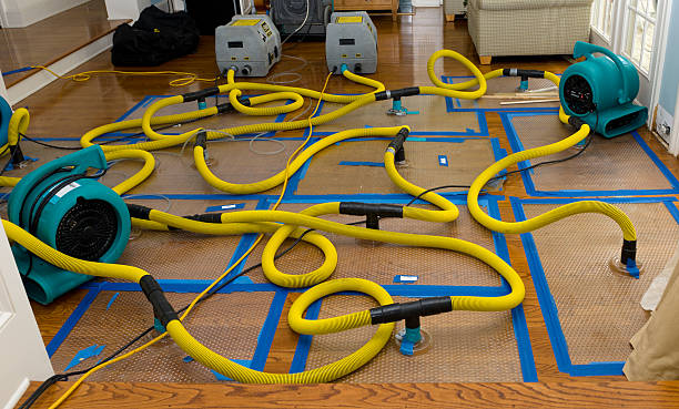 Professional Water Damage Restoration technician working in Altamont, NY